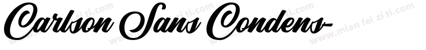 Carlson Sans Condens字体转换